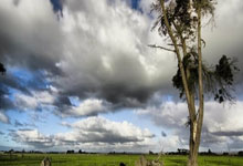 易倍体育：利物浦傳奇傑拉德任職阿斯頓維拉主帥不到一年遭解雇.