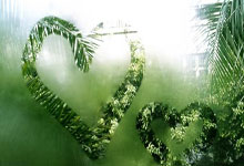 易倍体育：宝山区教育局关于做好2024年初中毕业升学体育考试的通知.